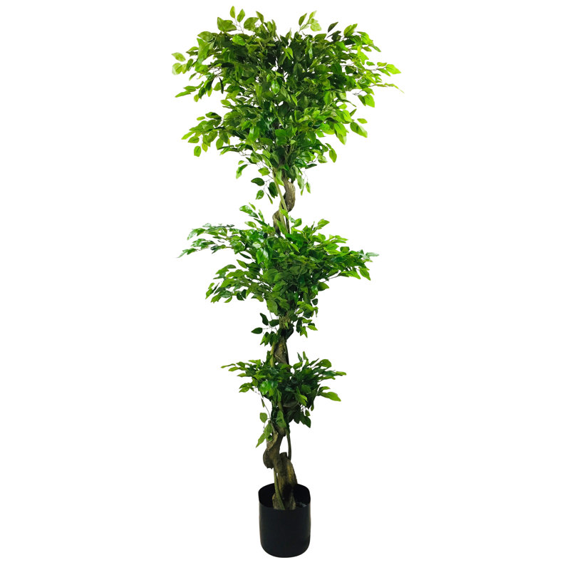 The Seasonal Aisle Artificial Floor Ficus Tree in Pot & Reviews Wayfair.co.uk
